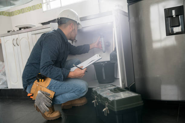Best Plumbing Repair Near Me  in Grand Meadow, MN