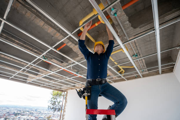 Best Affordable Plumber Near Me  in Grand Meadow, MN