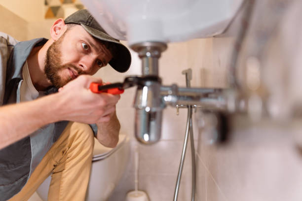 Best Drain Cleaning Services  in Grand Meadow, MN