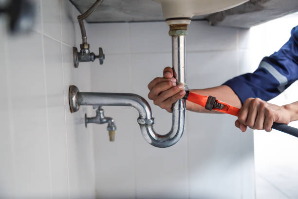 Best Local Plumber Services  in Grand Meadow, MN