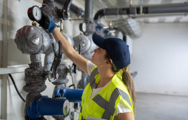 Best Affordable Plumbing Services  in Grand Meadow, MN