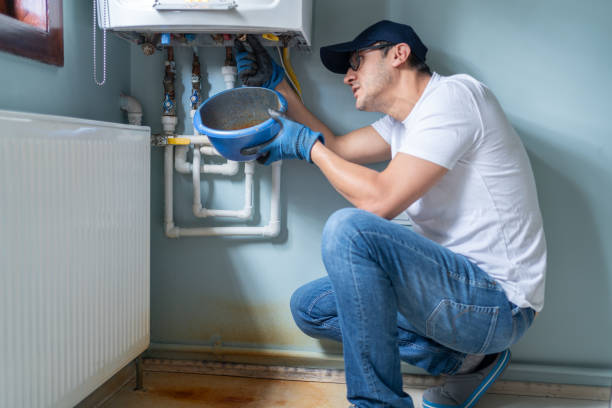 Best Toilet Repair Services  in Grand Meadow, MN