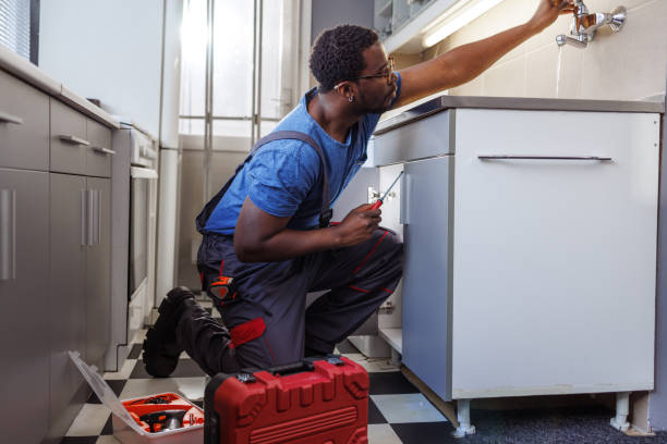 Best Clogged Drain Plumber  in Grand Meadow, MN